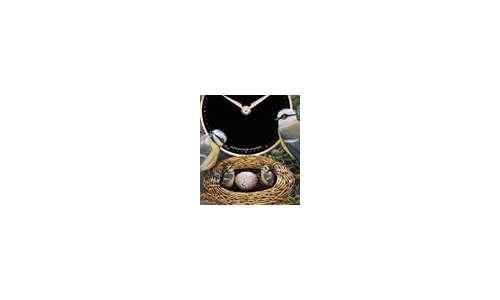 Bird Repeater от Jaquet Droz