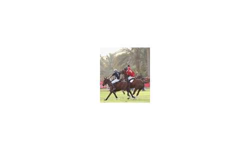 Триумф Cartier на Polo Challenge