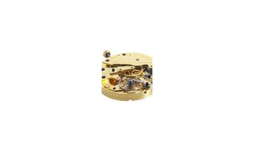 Daniels Anniversary Watch