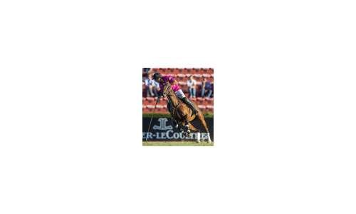 Jaeger-LeCoultre – официальный спонсор 120-го поло-чемпионата Аргентины Open Palermo