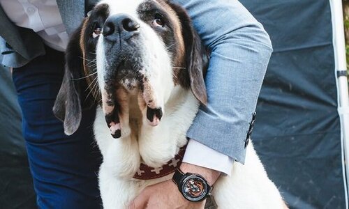 Новые часы Bomberg — друзья человека