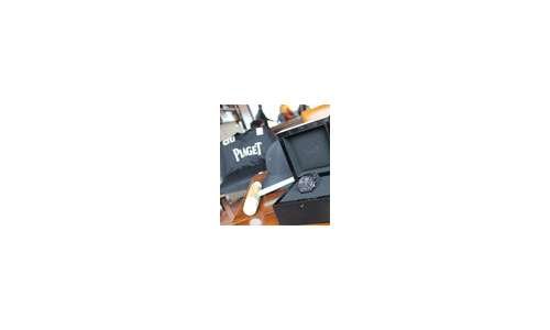 Дебют команды поло Ellerstina Piaget