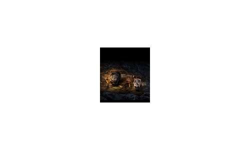Новый удивительный сайт Roger Dubuis
