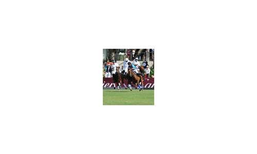 Турнир Cartier International Dubai Polo Challenge 2013