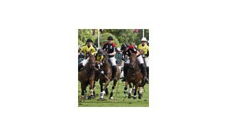 Кубок DeWitt Polo Cup