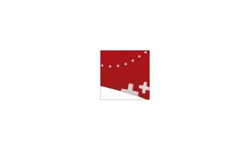 Парадоксальных 80% Swiss Made 