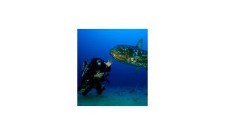 Blancpain поддерживает проект Gombessa