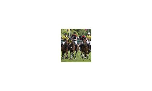 Кубок DeWitt Polo Cup