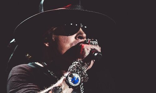 Розы и рок-н-ролл: Rocket Queen The Skull Axl Rose от HYT