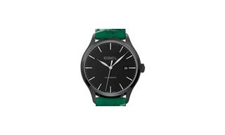 Ebel 100 — стильная палитра