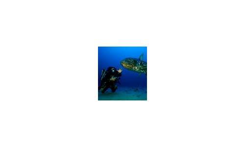 Blancpain поддерживает проект Gombessa