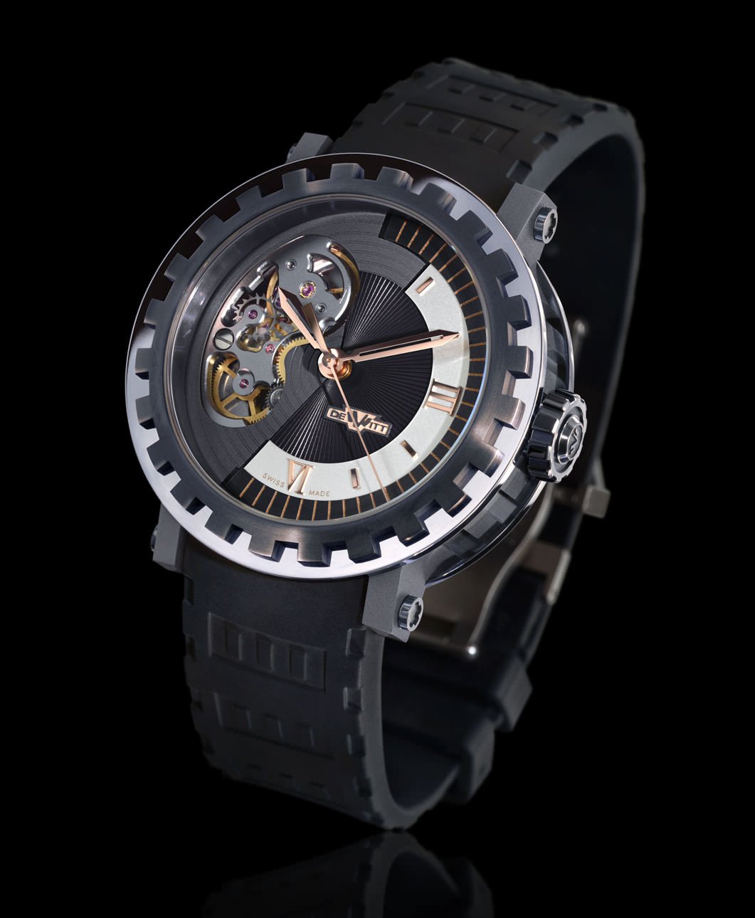 ACADEMIA MIRABILIS White Gold and Titanium OT DeWitt