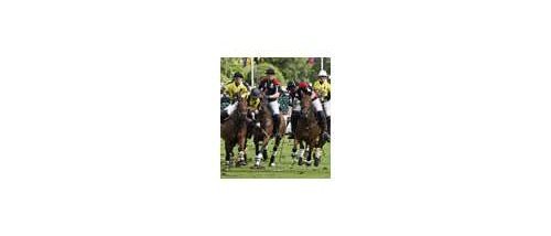 Кубок DeWitt Polo Cup