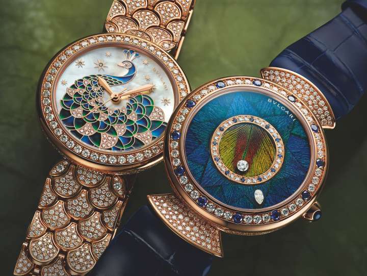 Изготовленная ограниченной серией из 50 экземпляров, модель Divas' Dream Peacock Dischi оснащена циферблатом из маркетри с натуральным павлиновым пером. Бриллианты Divas' Dream Peacock Diamonds украшены павлиньим мотивом на перламутровом фоне.