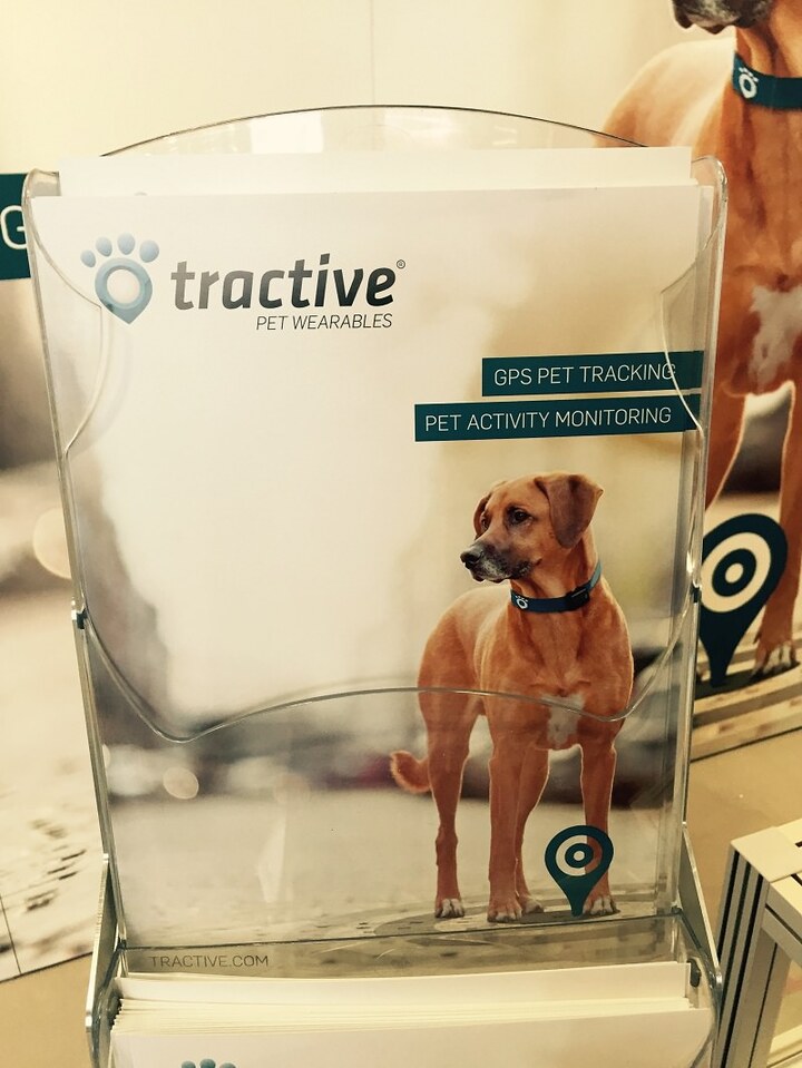 Если ваша собака недостаточно умна, Tractive это исправит смарт-ошейником